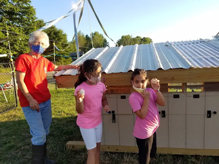 Kingswood Campsite 1