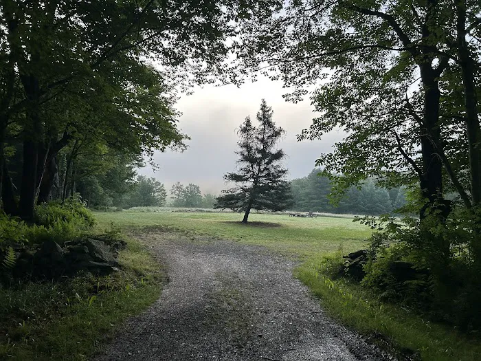Kingswood Campsite 5