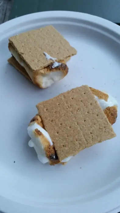 Terry's Shinhopple Campground 0