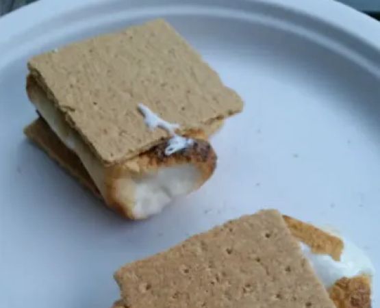 Terry's Shinhopple Campground