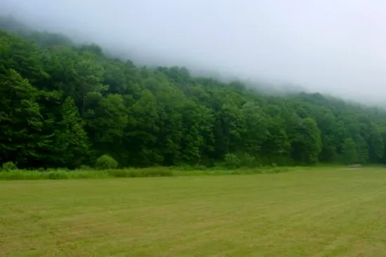 Peaceful Valley Campsite 0