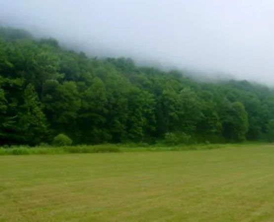 Peaceful Valley Campsite