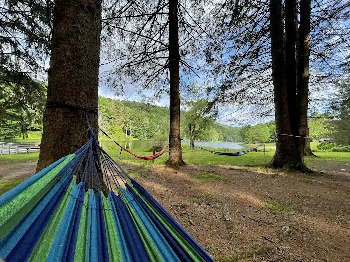 Bear Spring Mountain Campground 6