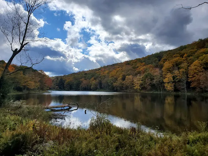 Bear Spring Mountain Campground 1