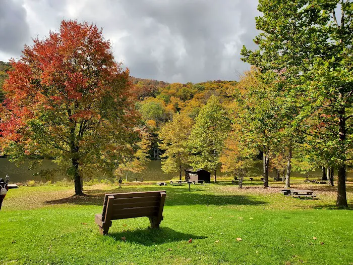 Bear Spring Mountain Campground 8