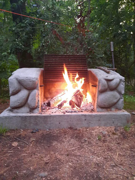 Bear Spring Mountain Campground 5