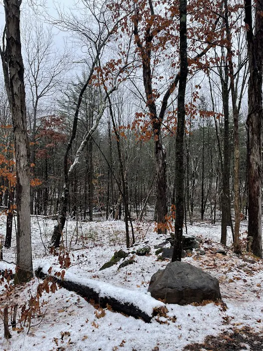 Getaway Eastern Catskills Campground - Castle Road 2