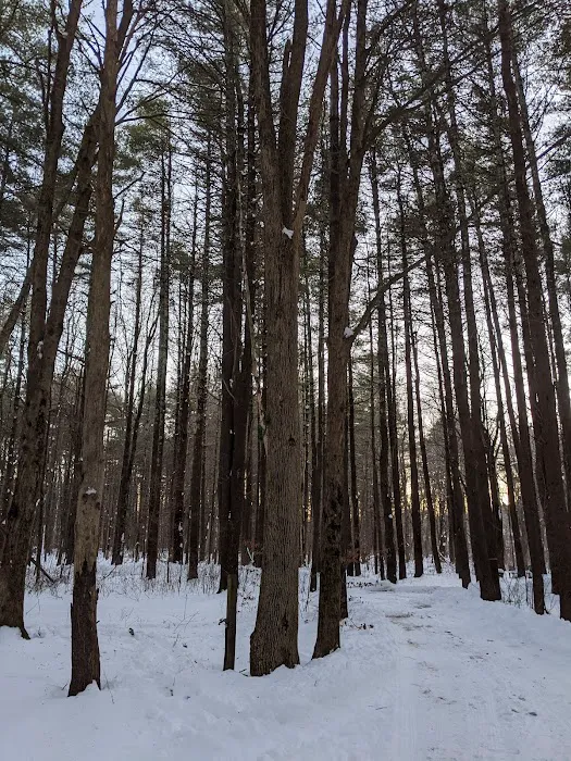 Getaway Eastern Catskills Campground - Castle Road 5
