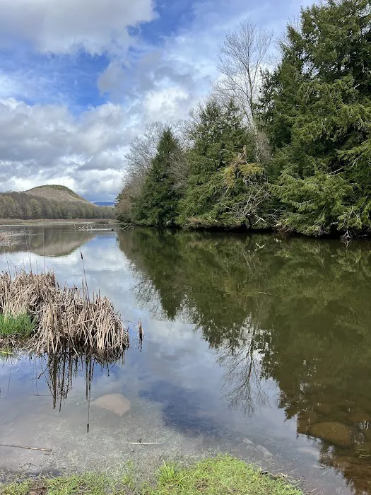 Stratton Falls Campground 7