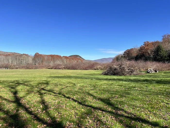 Stratton Falls Campground 4