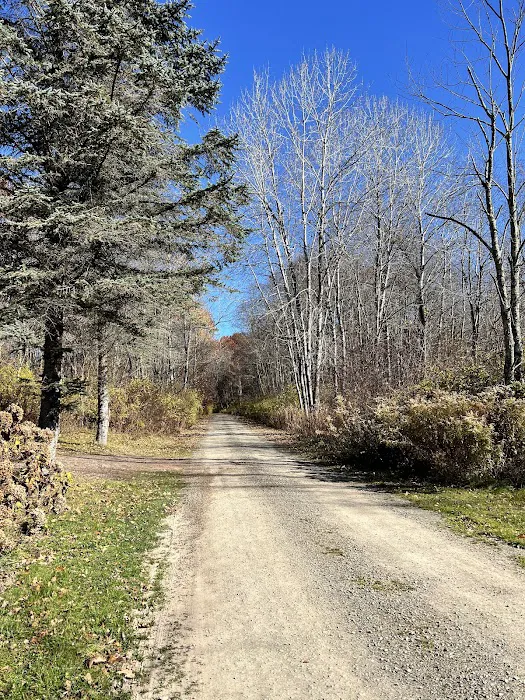 Stratton Falls Campground 2