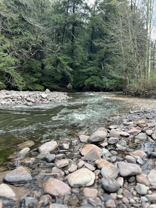 Stratton Falls Campground 5