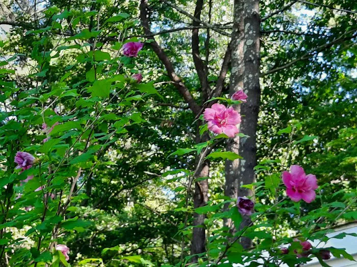 Brookside Mobile Home Park 7