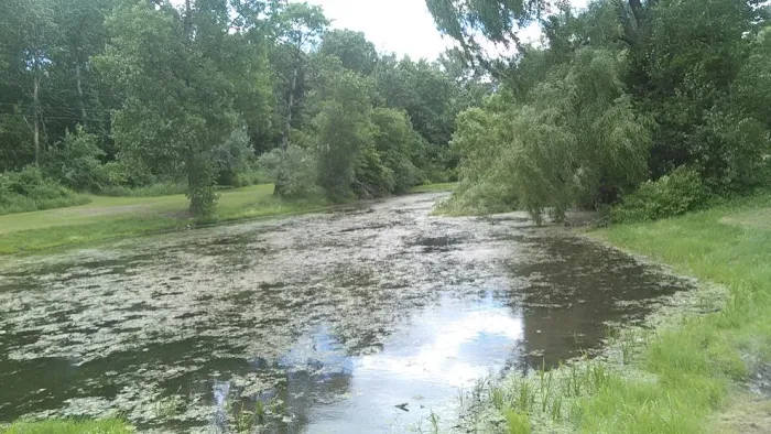 Brookside Mobile Home Park 6