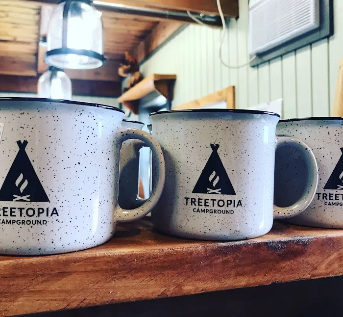 Treetopia Airstream Hotel and RV Campground 1