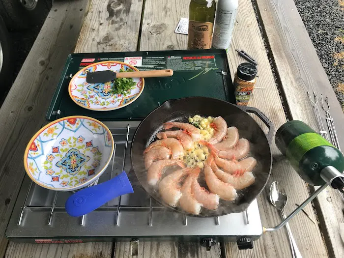 Treetopia Airstream Hotel and RV Campground 2