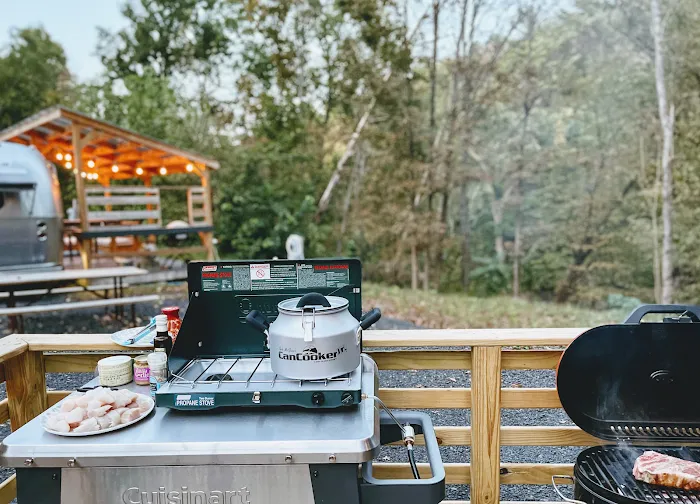 Treetopia Airstream Hotel and RV Campground 3