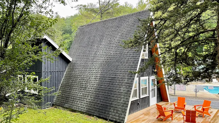 Treetopia Airstream Hotel and RV Campground 8