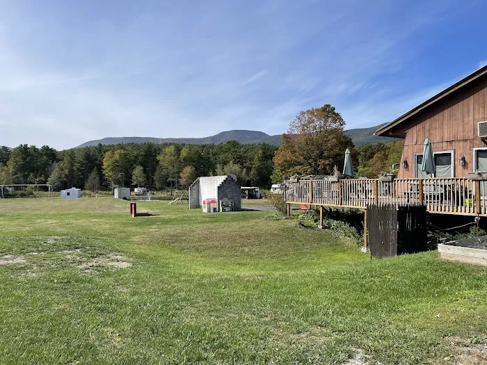 Lynch's Pot O' Gold 7