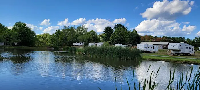 Lynch's Pot O' Gold 1