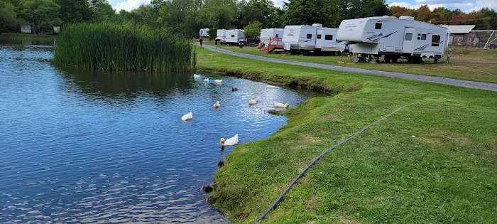 Lynch's Pot O' Gold 5