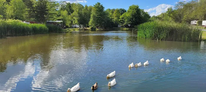 Lynch's Pot O' Gold 2