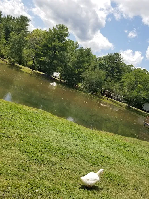 Lynch's Pot O' Gold 0