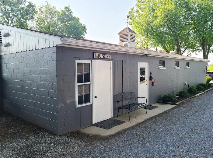 Beacon Hill Camping 6