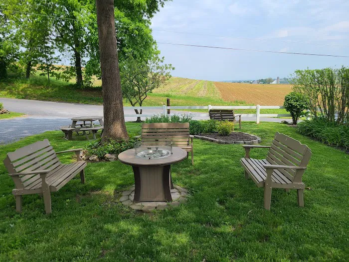 Beacon Hill Camping 4