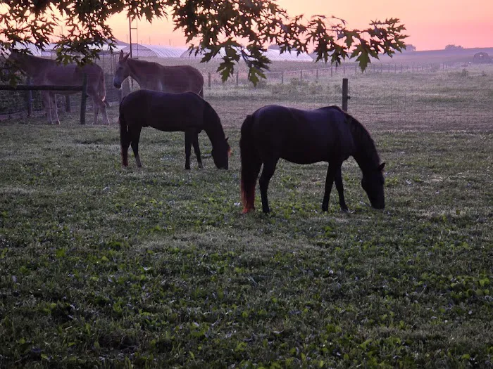 Flory's Cottages & Camping 0