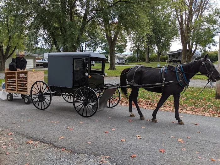 Old Mill Stream Campground 8