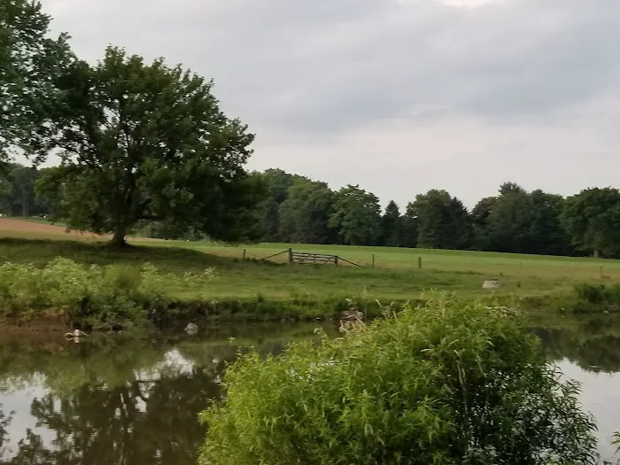 Old Mill Stream Campground 6