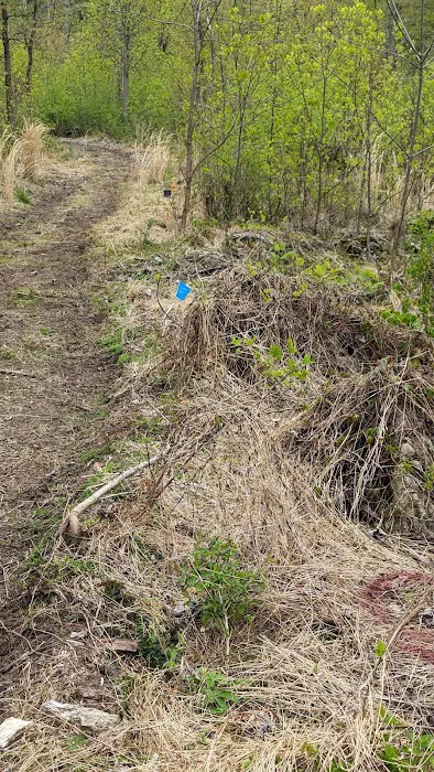 Camp Furnace Hills 0