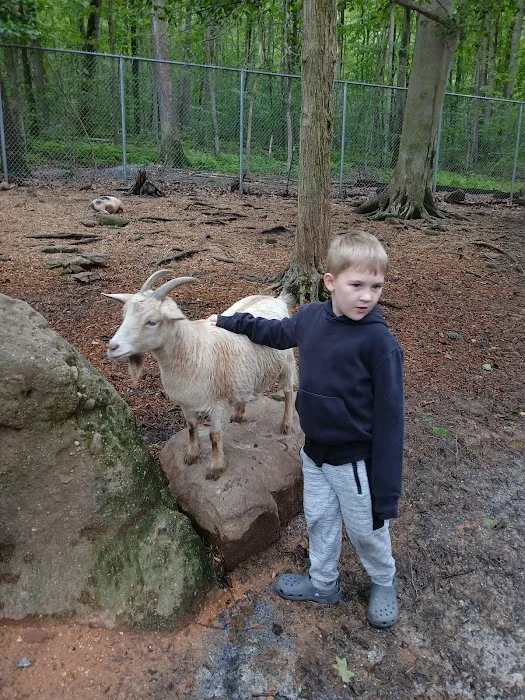 Cocalico Creek Campground 2