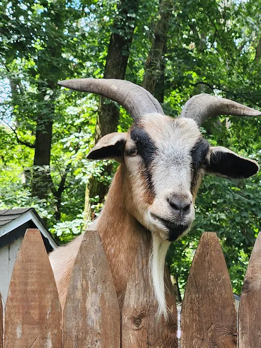 Shady Oaks Family Campground 1