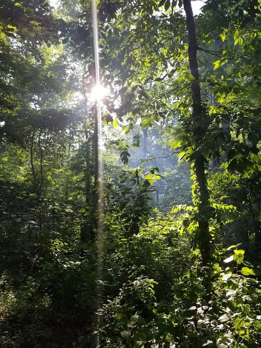 Shady Oaks Family Campground 2