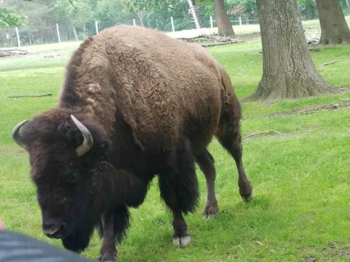 Shady Oaks Family Campground 5