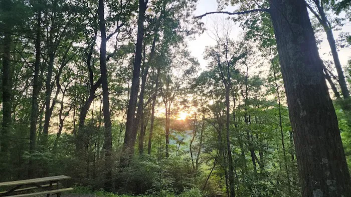 Mossy Point Campground 6