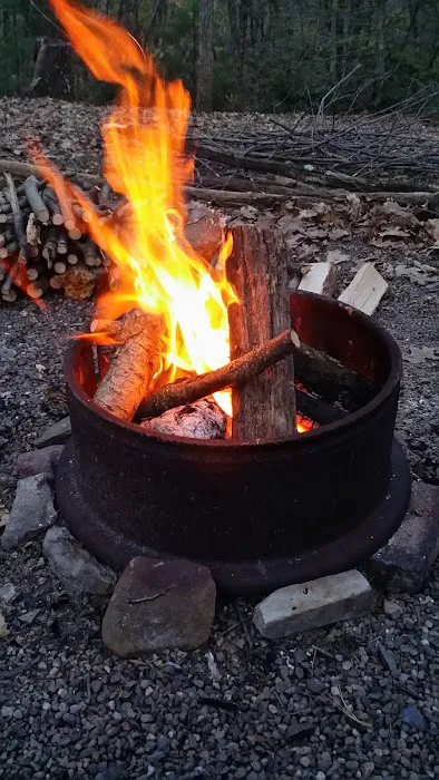 Mossy Point Campground 0