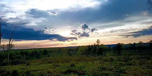Weiser State Forest Greenland Tract 1