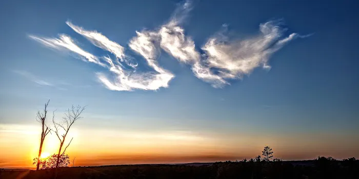 Weiser State Forest Greenland Tract 0