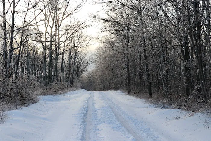 Weiser State Forest Greenland Tract 8