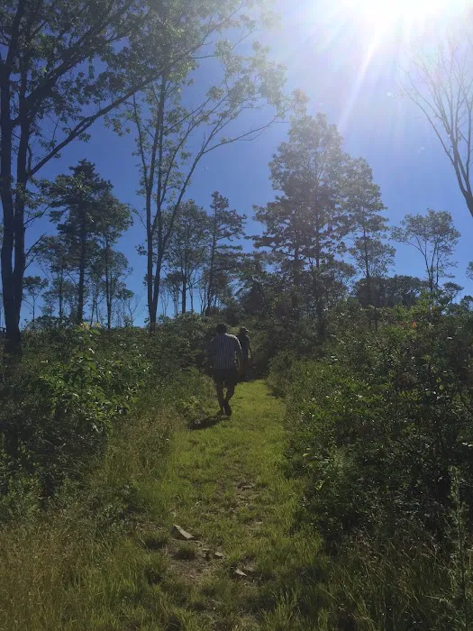 Weiser State Forest Greenland Tract 9