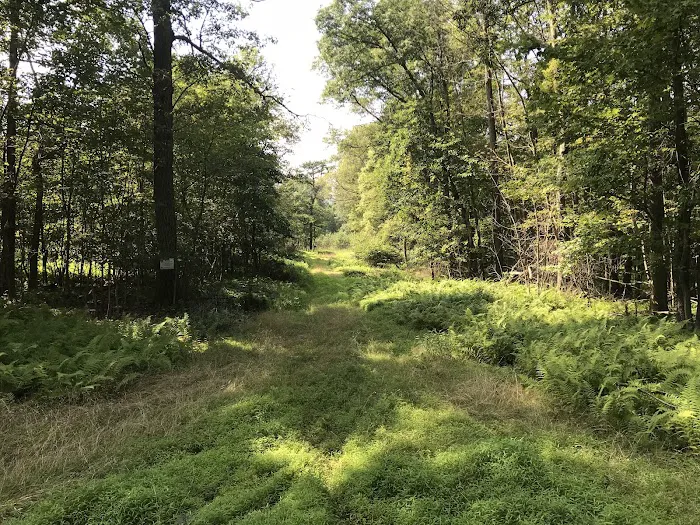 Weiser State Forest Greenland Tract 2