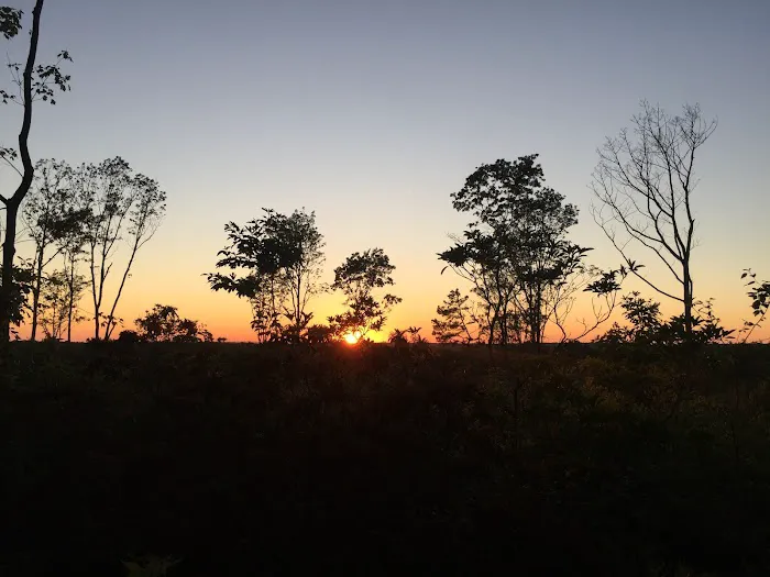 Weiser State Forest Greenland Tract 6