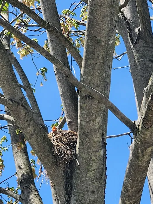 Wray's Riverfront Campground 5