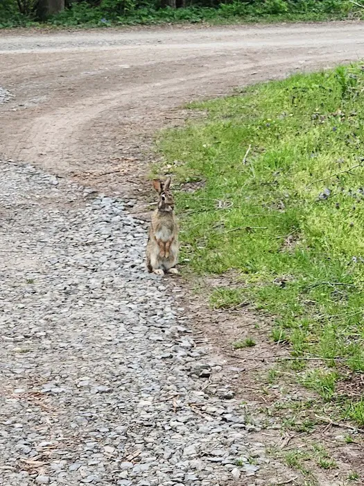 Wray's Riverfront Campground 9