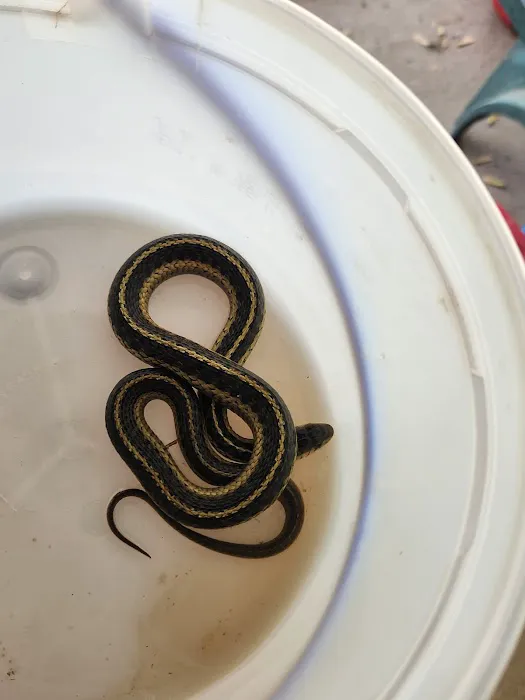 Wray's Riverfront Campground 1