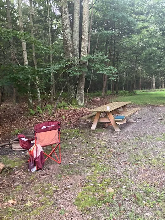 Ricketts Glen RV Sites 1