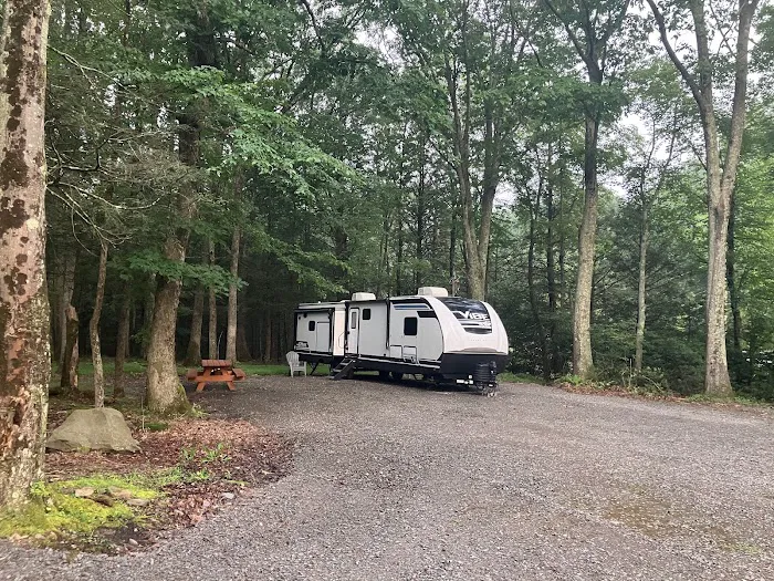 Ricketts Glen RV Sites 4